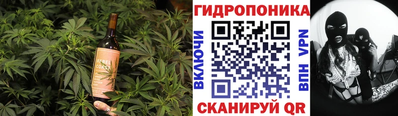 Cannafood конопля  Хадыженск 