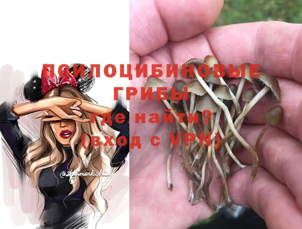 гидропоника Алексин