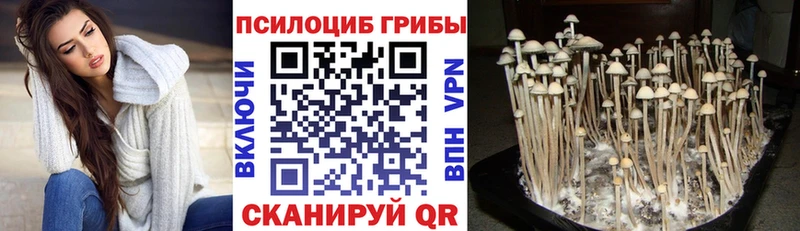 площадка состав  Хадыженск  Псилоцибиновые грибы Magic Shrooms  KRAKEN ONION 
